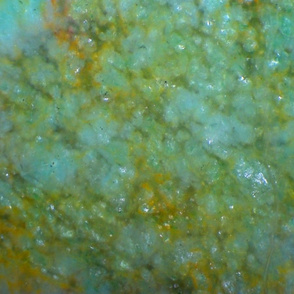 Dragon Skin (Dragon Stone)