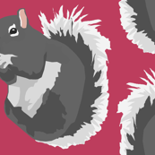Gray Squirrels