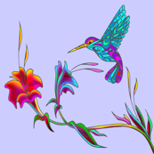 hummingbird on blue