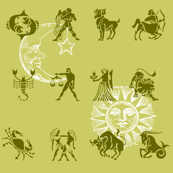 zodiac olive