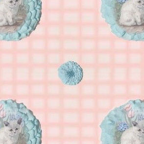 Grumpy_Kitten_2