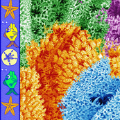 coral reef - big