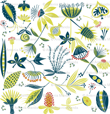 seeds2