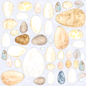 Painted Eggs