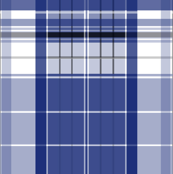 Police Box Plaid 2