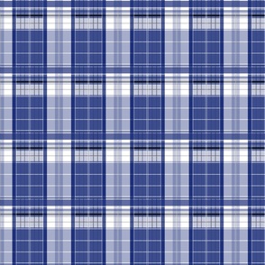 Police Box Plaid 2