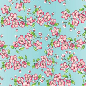 apple blossom