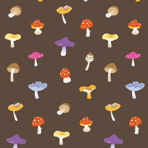 Mushroom colorful brown