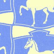 Puzzled Ponies
