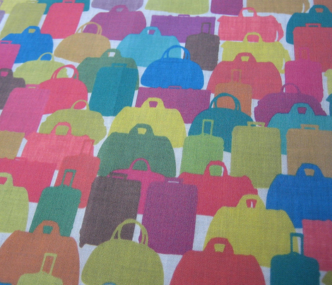 rainbow cases