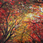 Autumn Light