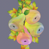 pear_bounty