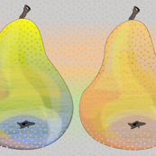 colorful pears in a row