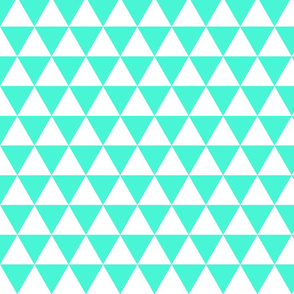 triangle_aqua