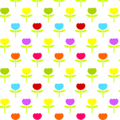 Pretty Spring Tulips