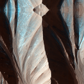 Life On Mars
