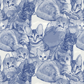blue cats