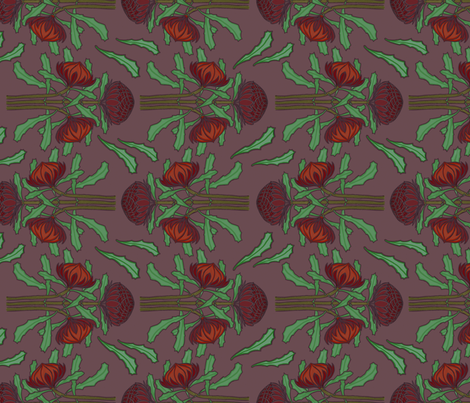 Darker waratahs, railroad repeat