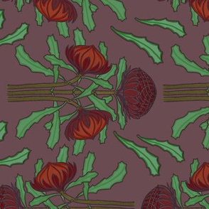 Darker waratahs, railroad repeat