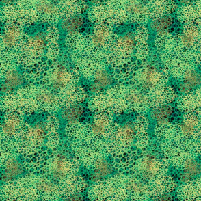 Sea Sponges