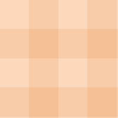 Peach Gingham