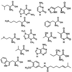 Molecules!