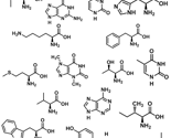Molecule1_thumb
