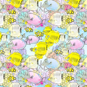 coral reef
