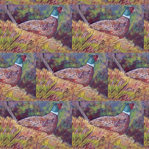 my_pheasant