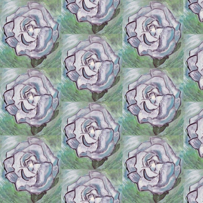 white_rose_original