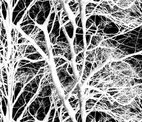The Tree Lace ~ White and Black