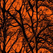 The Tree Lace ~ Halloween II