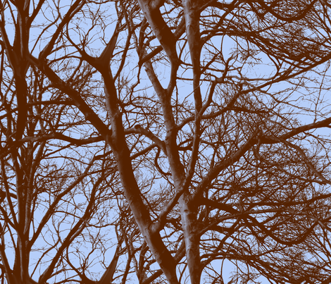 The Tree Lace ~ Twilight