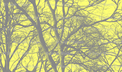The Tree Lace ~ Portlandia