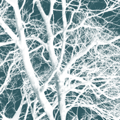 The Tree Lace ~ Winter