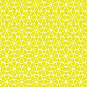 Citron Slices