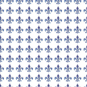 Hydrangea fleur di lis