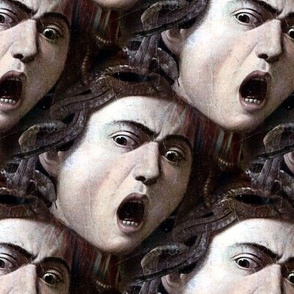 The Head of The Medusa