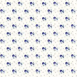 Tiny blue flowers