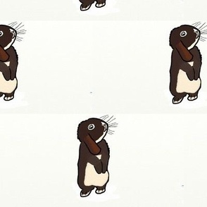 Mini Lop Rabbit - Hazel