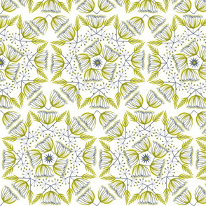 more_seeds2