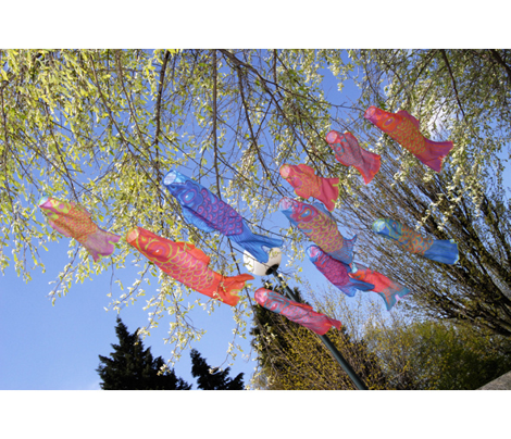 Koinobori_sew_and_cut_comment_288015_preview