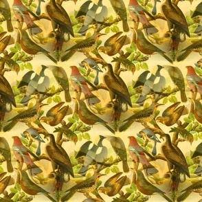 Farmhouse Birds Art