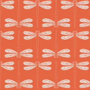 dragonfly in koi new