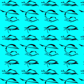 Island Eye's