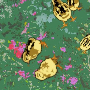 Garden Path Chicks