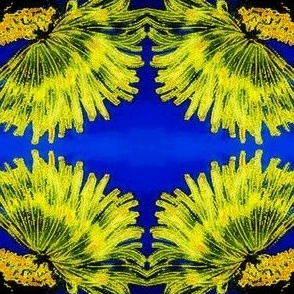 Coral2-blue/green