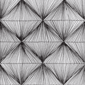 Optical Illusion