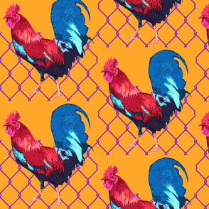 Rooster_Pop