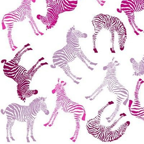 Baby Zebra visits the Cheshire Cat in Wonderland